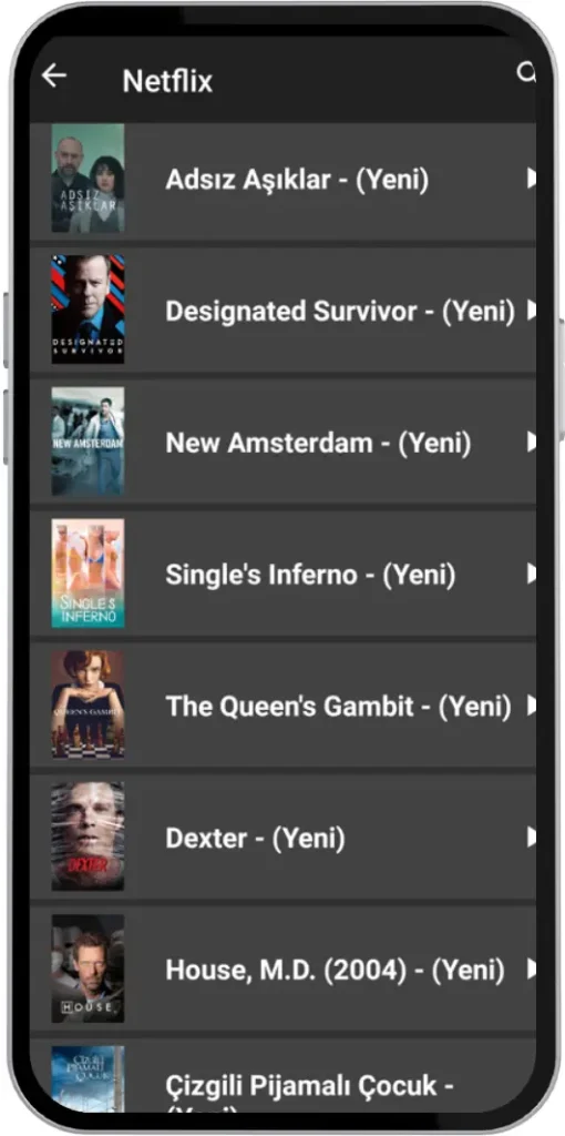 Inat Box'un Netflix Filmleri